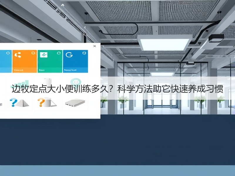 边牧定点大小便训练多久？科学方法助它快速养成习惯