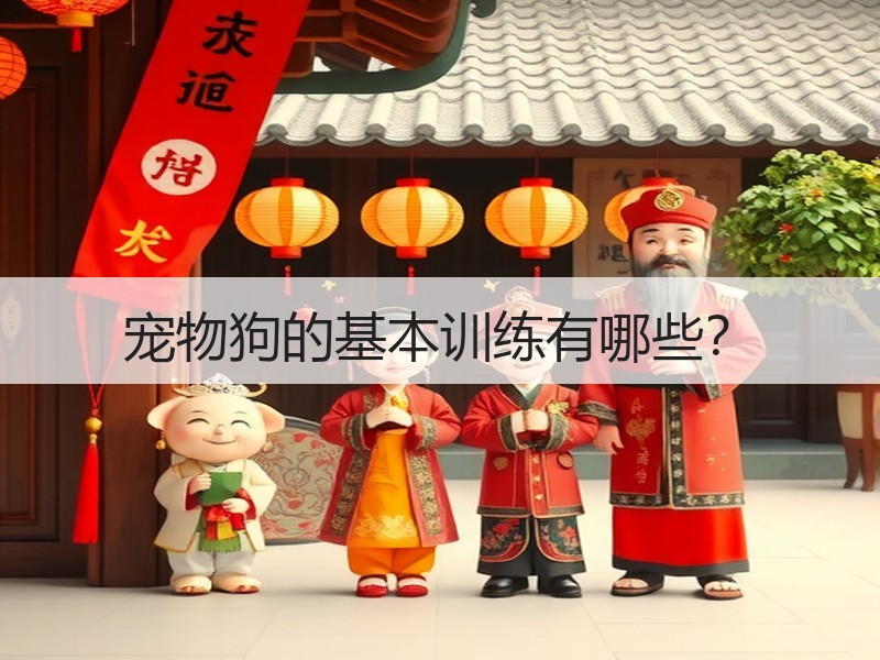 宠物狗的基本训练有哪些？