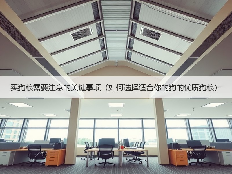 买狗粮需要注意的关键事项（如何选择适合你的狗的优质狗粮）