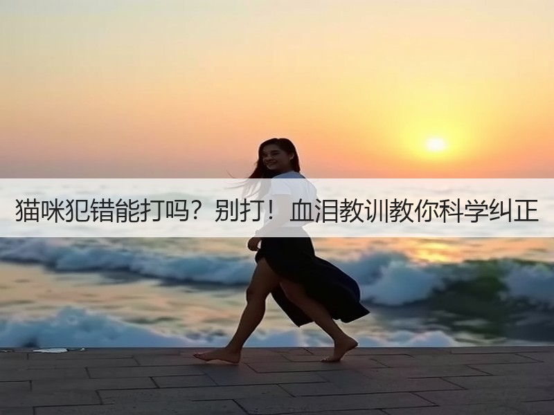 猫咪犯错能打吗？别打！血泪教训教你科学纠正