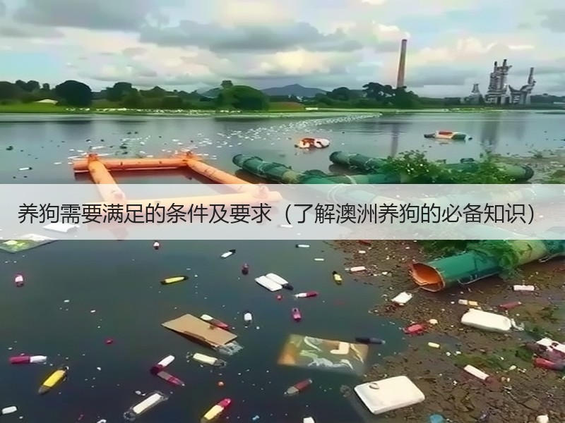 养狗需要满足的条件及要求（了解澳洲养狗的必备知识）
