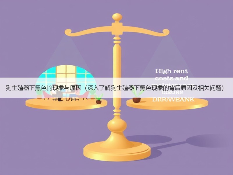狗生殖器下黑色的现象与原因（深入了解狗生殖器下黑色现象的背后原因及相关问题）
