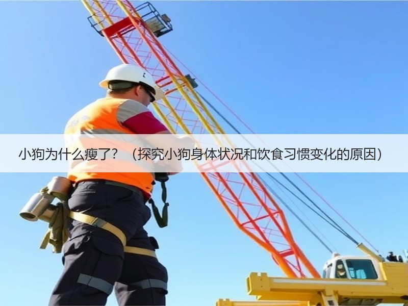 小狗为什么瘦了？（探究小狗身体状况和饮食习惯变化的原因）