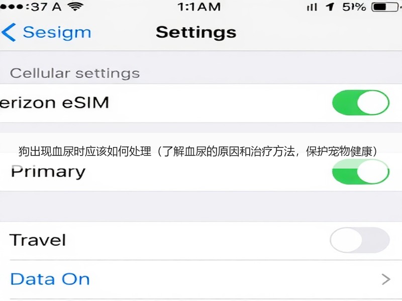 狗出现血尿时应该如何处理（了解血尿的原因和治疗方法，保护宠物健康）