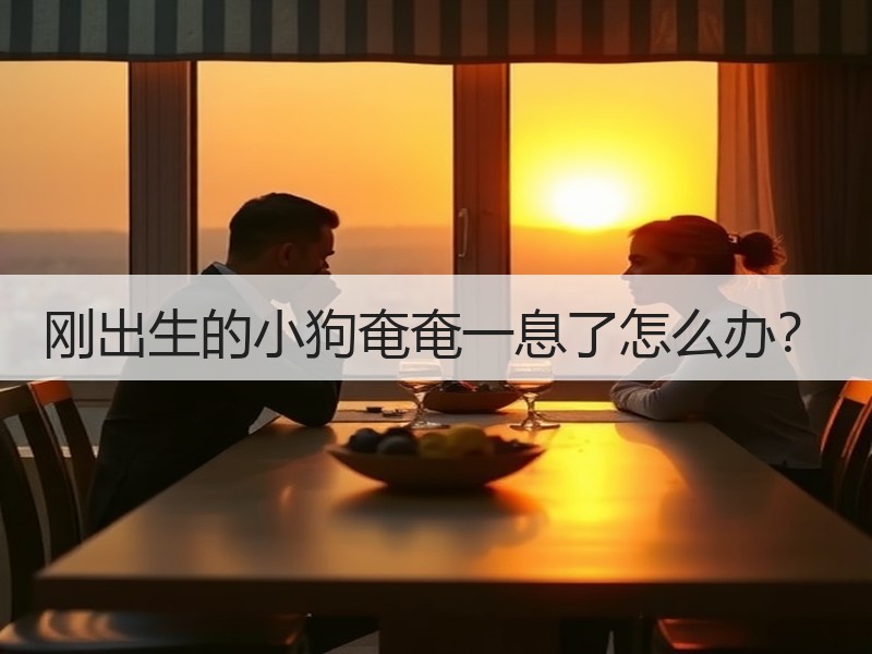 刚出生的小狗奄奄一息了怎么办？