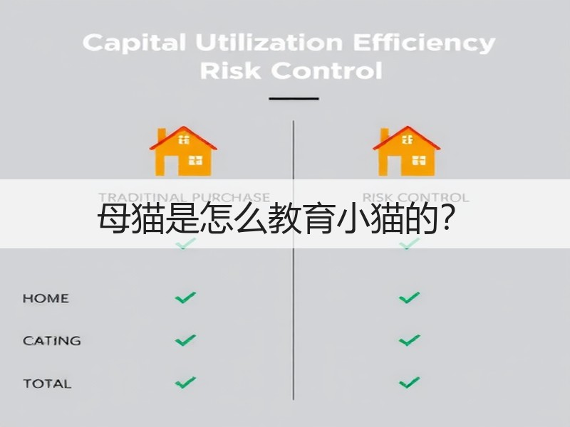 母猫是怎么教育小猫的？