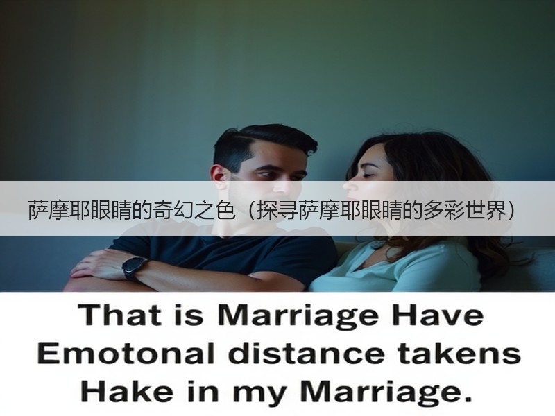 萨摩耶眼睛的奇幻之色（探寻萨摩耶眼睛的多彩世界）