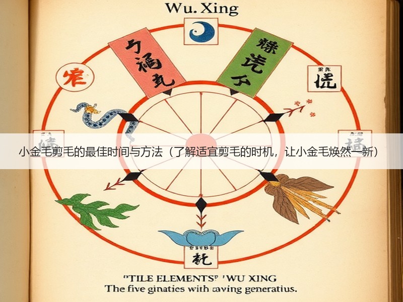 小金毛剪毛的最佳时间与方法（了解适宜剪毛的时机，让小金毛焕然一新）