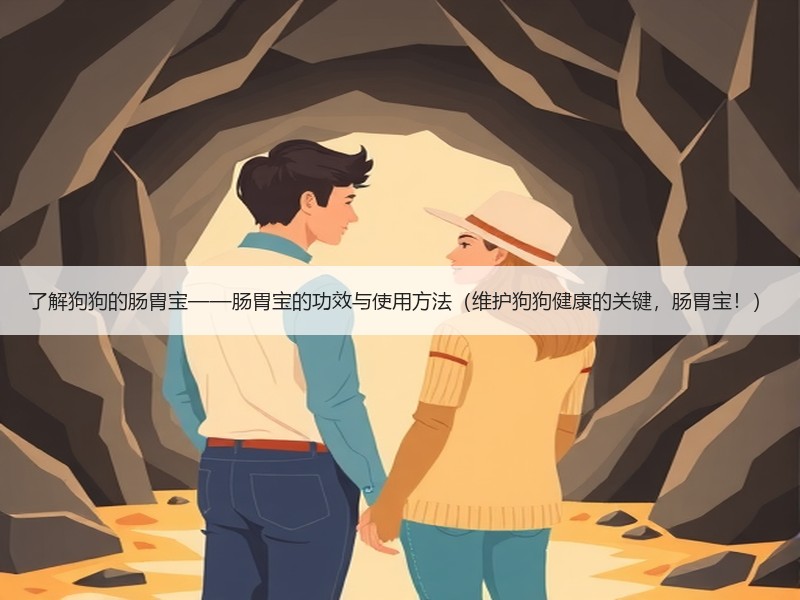 了解狗狗的肠胃宝——肠胃宝的功效与使用方法（维护狗狗健康的关键，肠胃宝！）