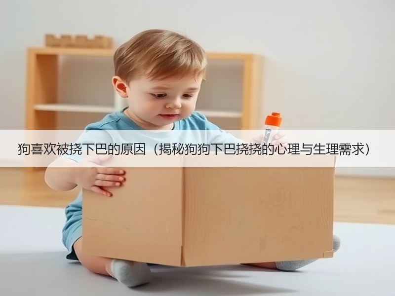 狗喜欢被挠下巴的原因（揭秘狗狗下巴挠挠的心理与生理需求）