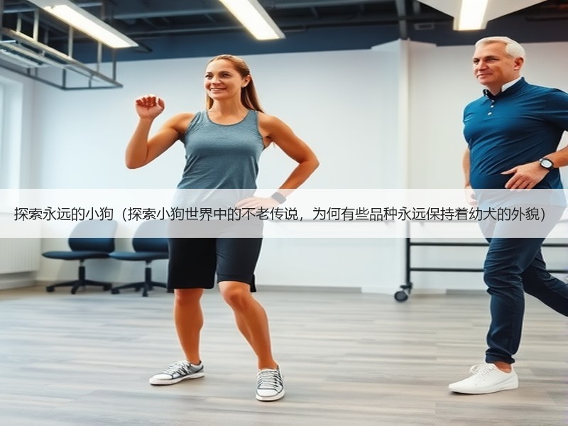 探索永远的小狗（探索小狗世界中的不老传说，为何有些品种永远保持着幼犬的外貌）