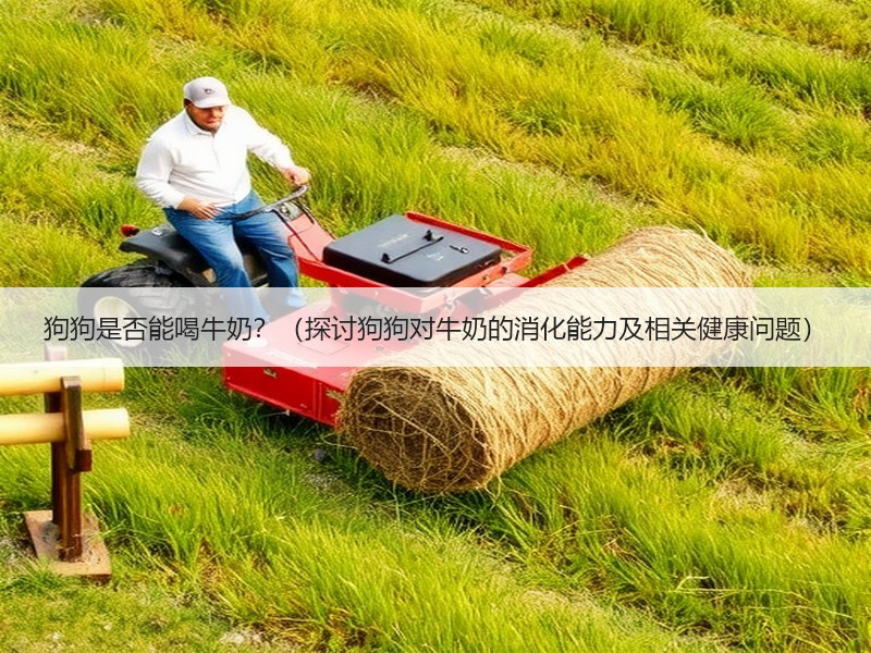 狗狗是否能喝牛奶？（探讨狗狗对牛奶的消化能力及相关健康问题）