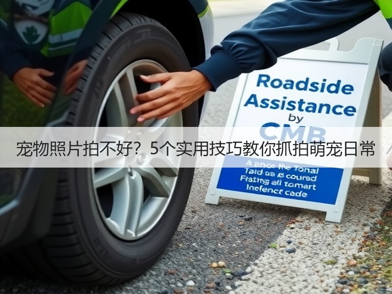 宠物照片拍不好？5个实用技巧教你抓拍萌宠日常