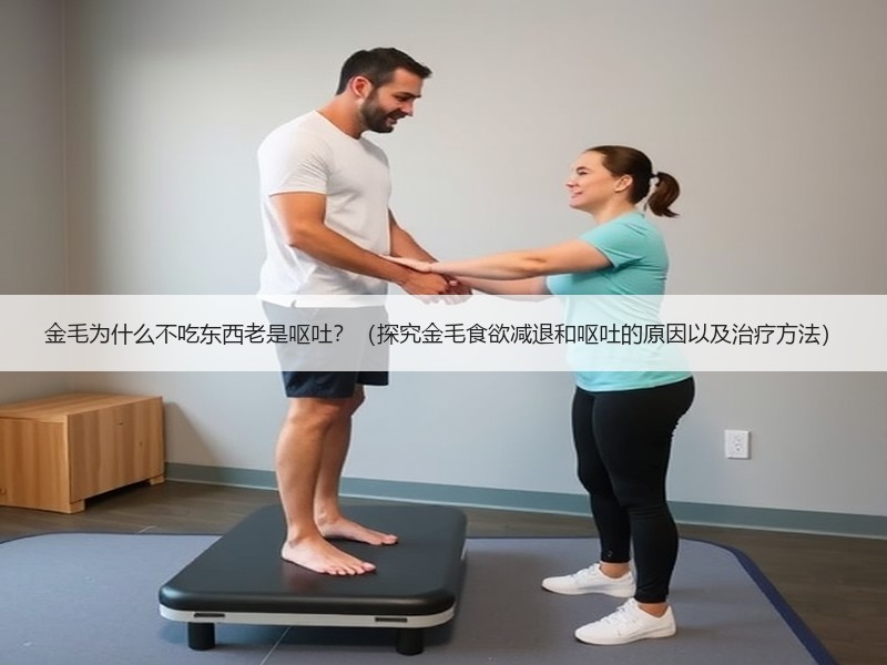 金毛为什么不吃东西老是呕吐？（探究金毛食欲减退和呕吐的原因以及治疗方法）