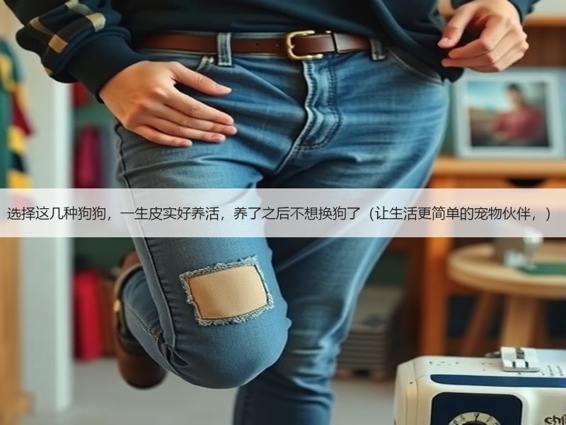 选择这几种狗狗，一生皮实好养活，养了之后不想换狗了（让生活更简单的宠物伙伴，）