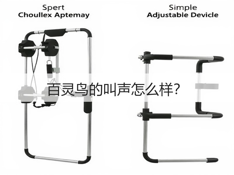 百灵鸟的叫声怎么样？