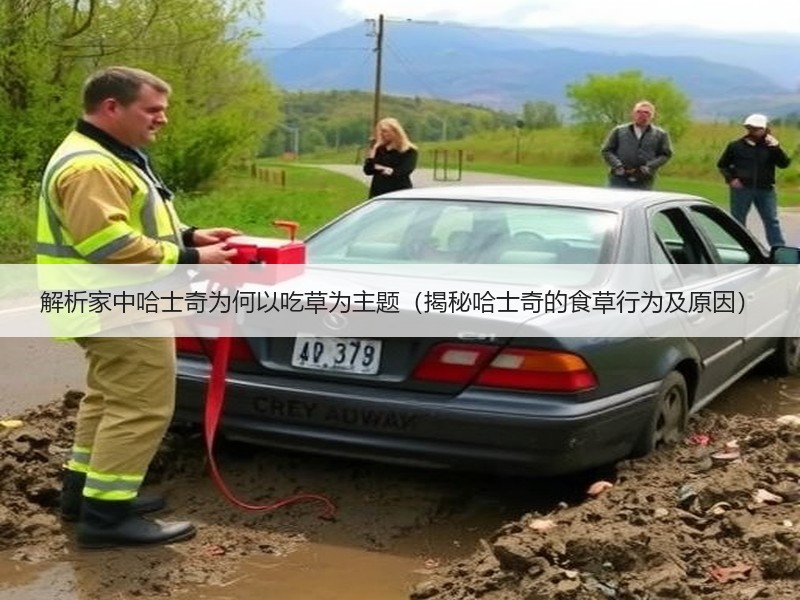 解析家中哈士奇为何以吃草为主题（揭秘哈士奇的食草行为及原因）