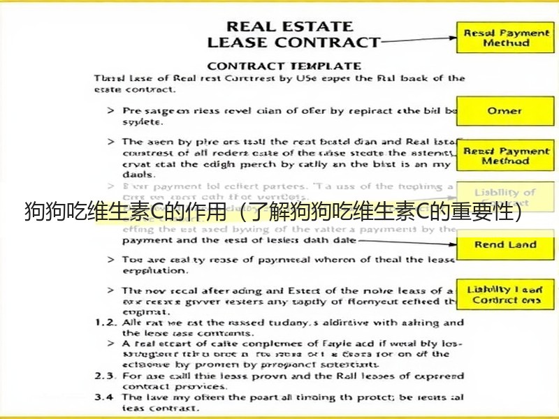 狗狗吃维生素C的作用（了解狗狗吃维生素C的重要性）
