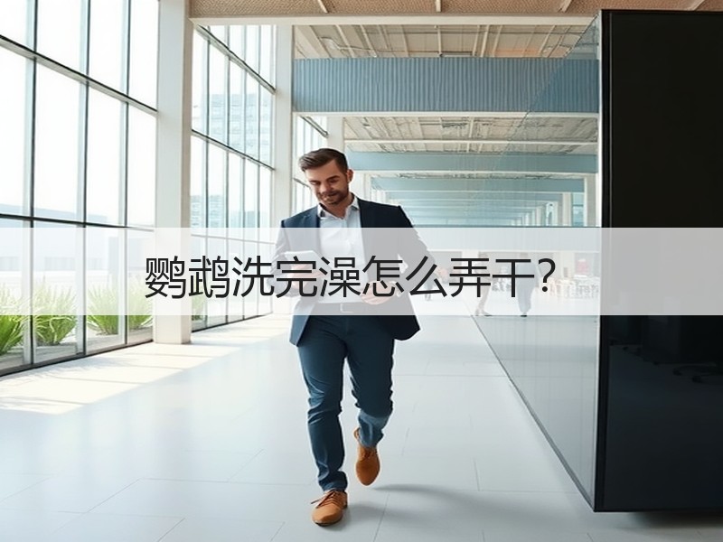 鹦鹉洗完澡怎么弄干？