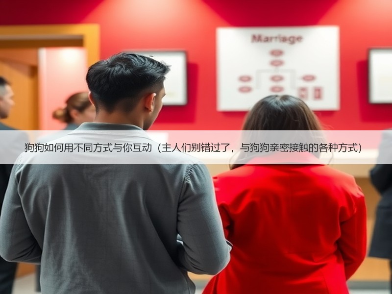 狗狗如何用不同方式与你互动（主人们别错过了，与狗狗亲密接触的各种方式）