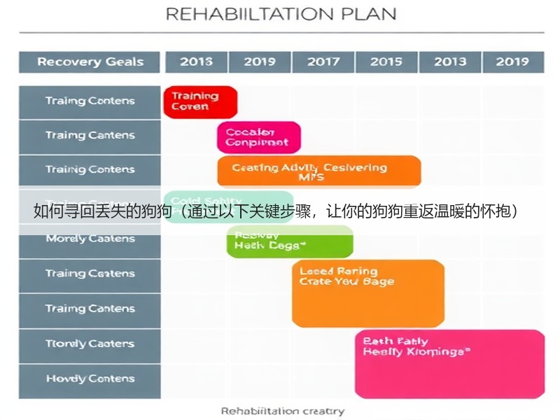 如何寻回丢失的狗狗（通过以下关键步骤，让你的狗狗重返温暖的怀抱）