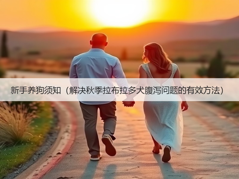 新手养狗须知（解决秋季拉布拉多犬腹泻问题的有效方法）