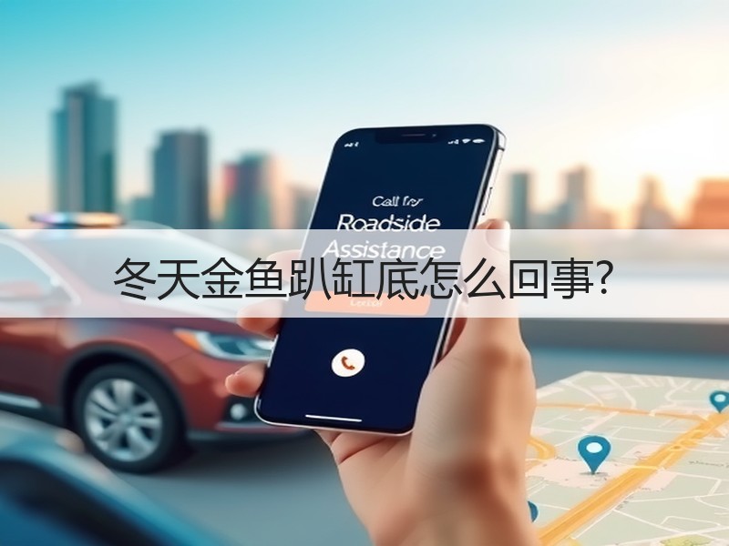 冬天金鱼趴缸底怎么回事?