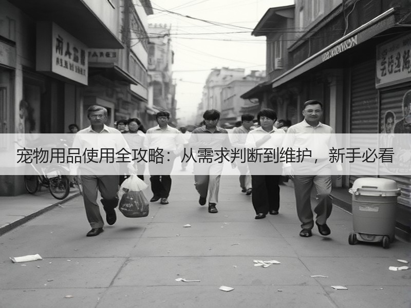 宠物用品使用全攻略：从需求判断到维护，新手必看