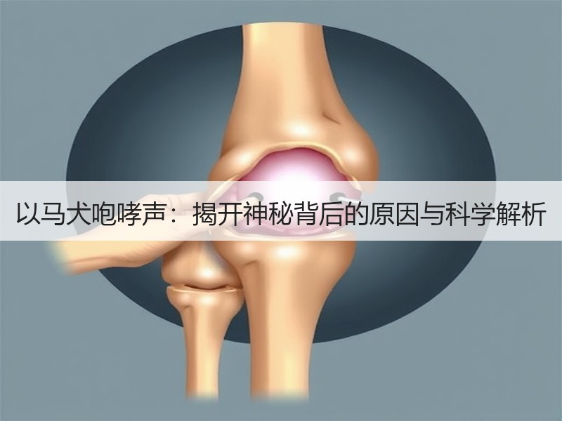 以马犬咆哮声：揭开神秘背后的原因与科学解析
