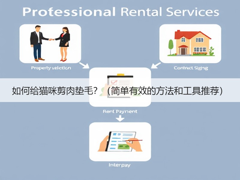 如何给猫咪剪肉垫毛？（简单有效的方法和工具推荐）