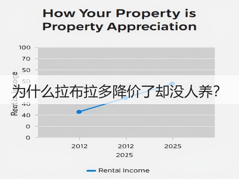 为什么拉布拉多降价了却没人养？