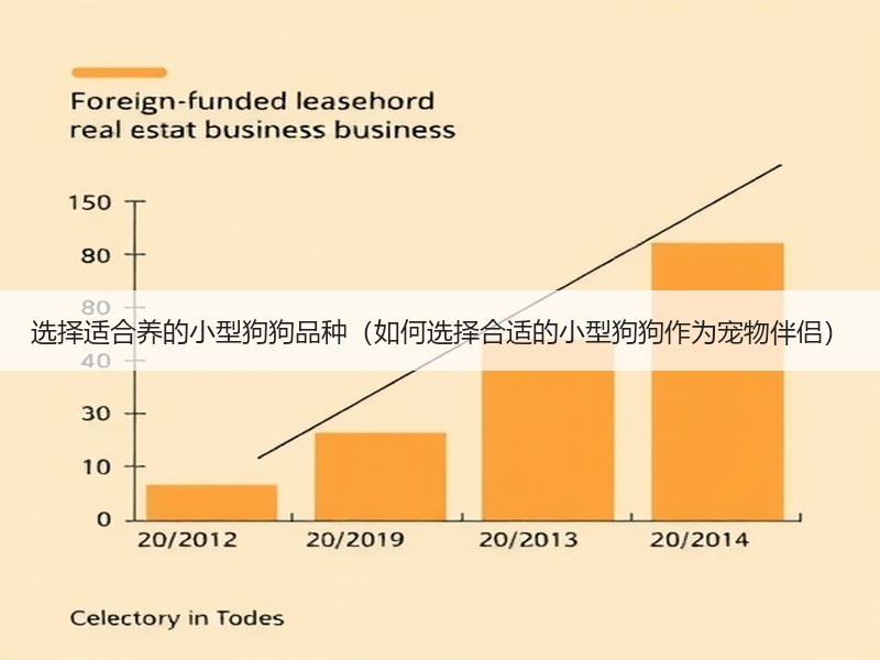选择适合养的小型狗狗品种（如何选择合适的小型狗狗作为宠物伴侣）