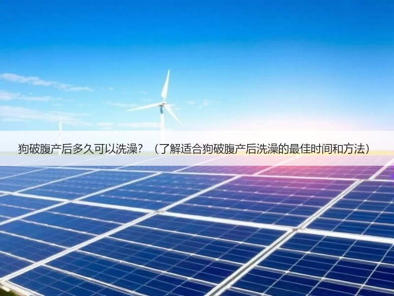 狗破腹产后多久可以洗澡？（了解适合狗破腹产后洗澡的最佳时间和方法）