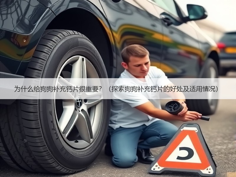 为什么给狗狗补充钙片很重要？（探索狗狗补充钙片的好处及适用情况）