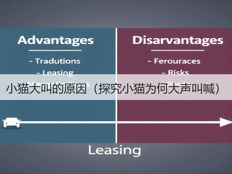 小猫大叫的原因（探究小猫为何大声叫喊）