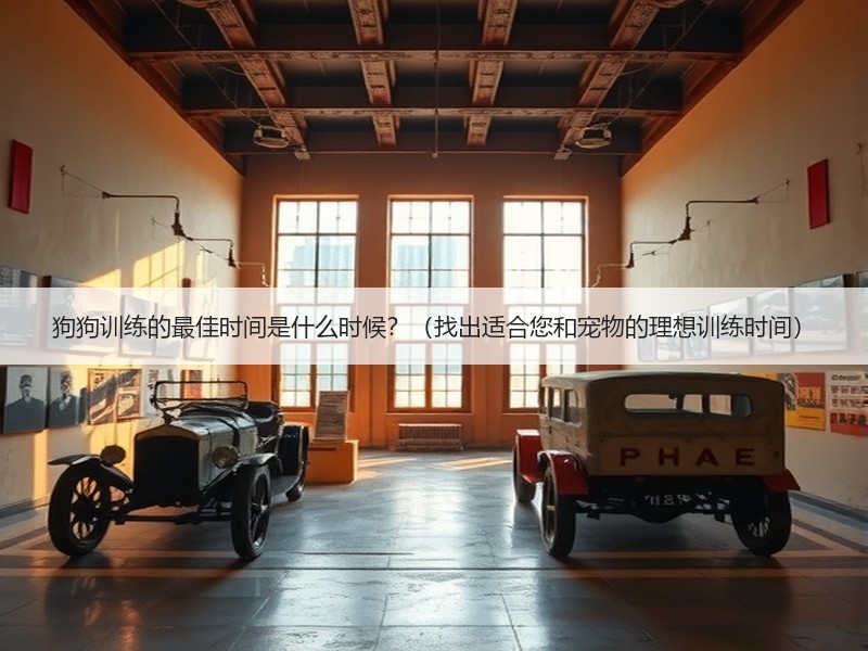 狗狗训练的最佳时间是什么时候？（找出适合您和宠物的理想训练时间）