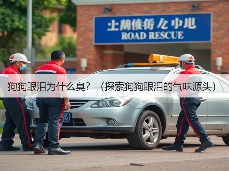 狗狗眼泪为什么臭？（探索狗狗眼泪的气味源头）