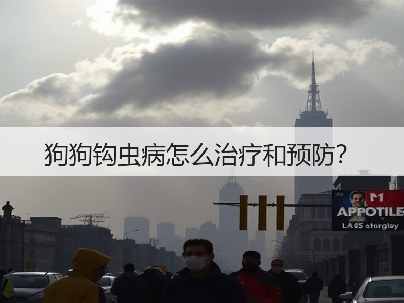 狗狗钩虫病怎么治疗和预防？