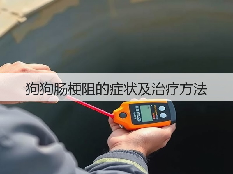 狗狗肠梗阻的症状及治疗方法