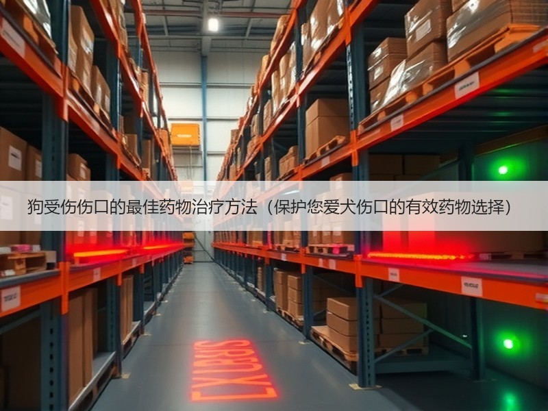 狗受伤伤口的最佳药物治疗方法（保护您爱犬伤口的有效药物选择）