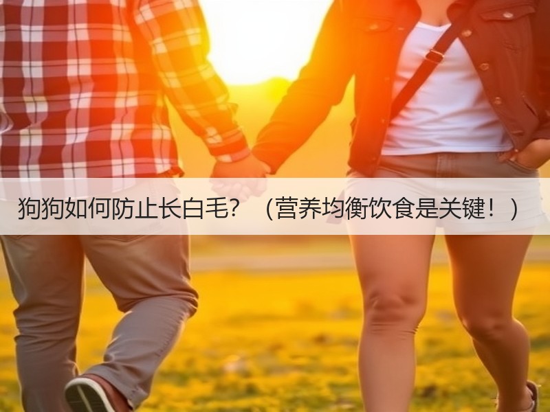 狗狗如何防止长白毛？（营养均衡饮食是关键！）