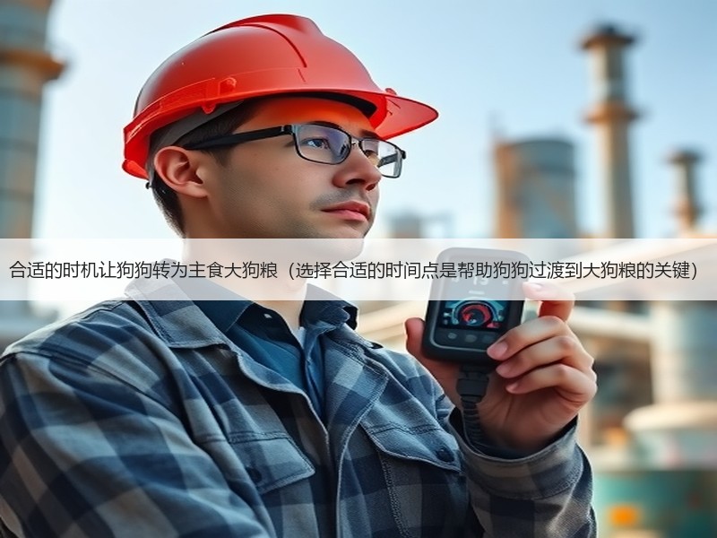 合适的时机让狗狗转为主食大狗粮（选择合适的时间点是帮助狗狗过渡到大狗粮的关键）