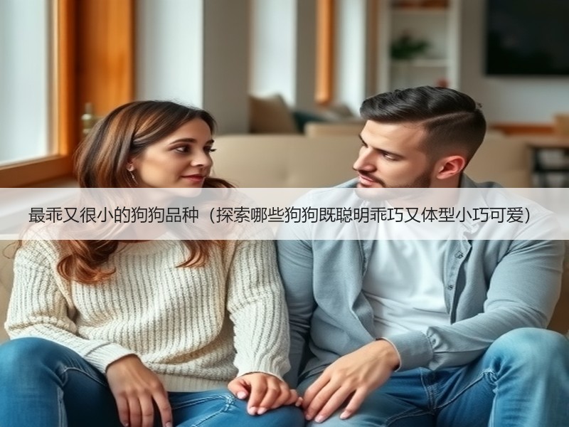 最乖又很小的狗狗品种（探索哪些狗狗既聪明乖巧又体型小巧可爱）