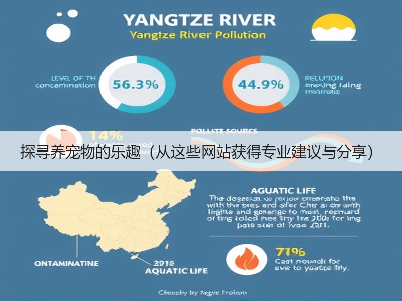 探寻养宠物的乐趣（从这些网站获得专业建议与分享）