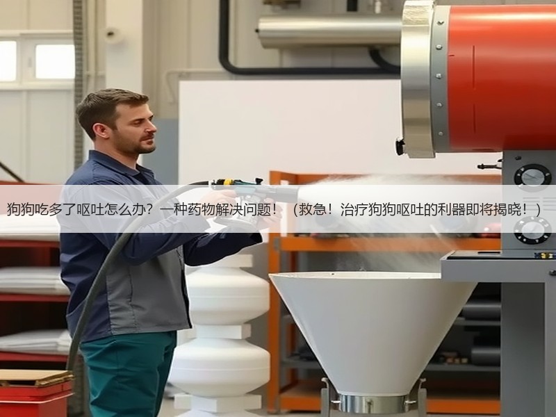 狗狗吃多了呕吐怎么办？一种药物解决问题！（救急！治疗狗狗呕吐的利器即将揭晓！）