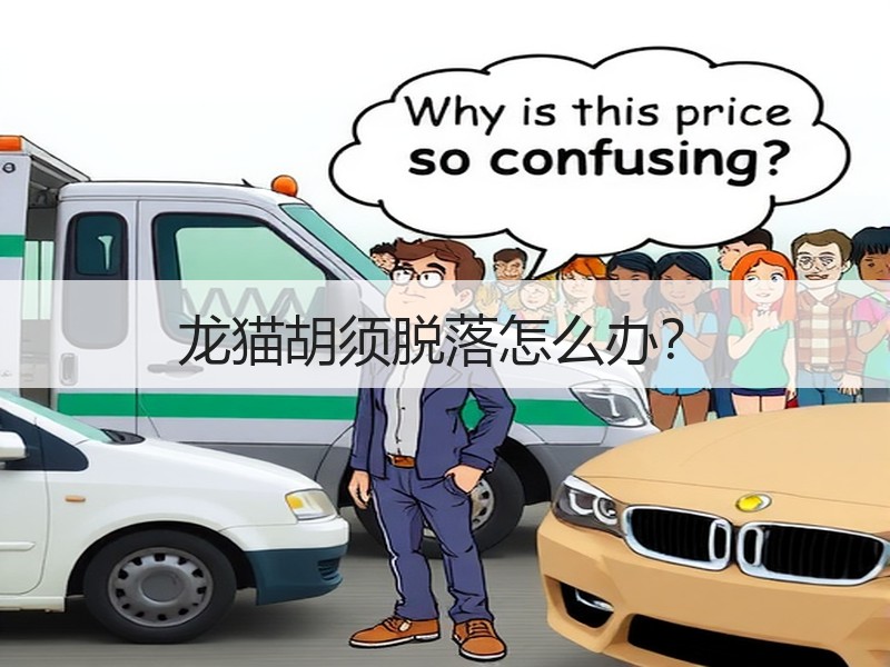 龙猫胡须脱落怎么办？