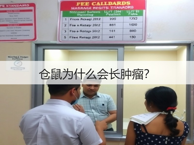 仓鼠为什么会长肿瘤？