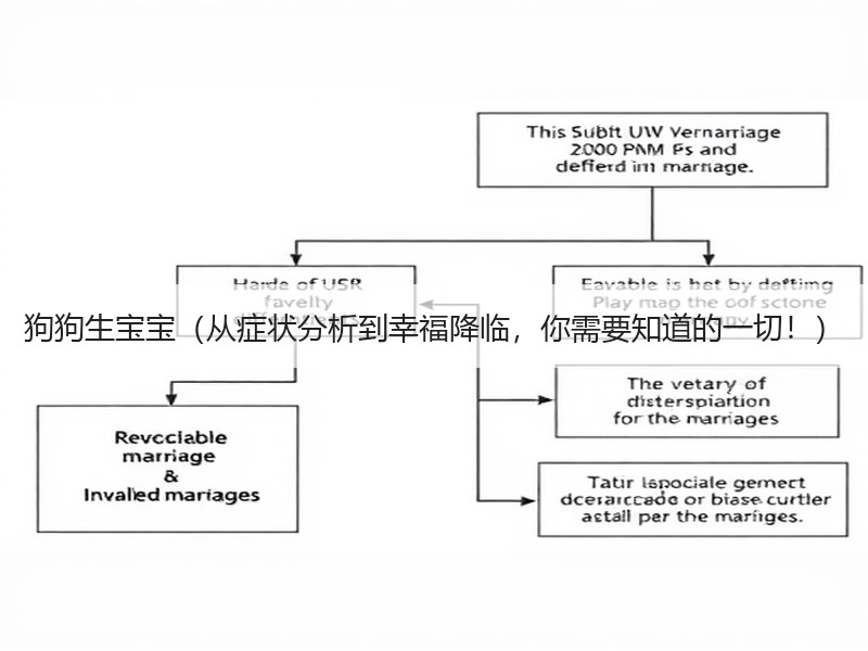 狗狗生宝宝（从症状分析到幸福降临，你需要知道的一切！）