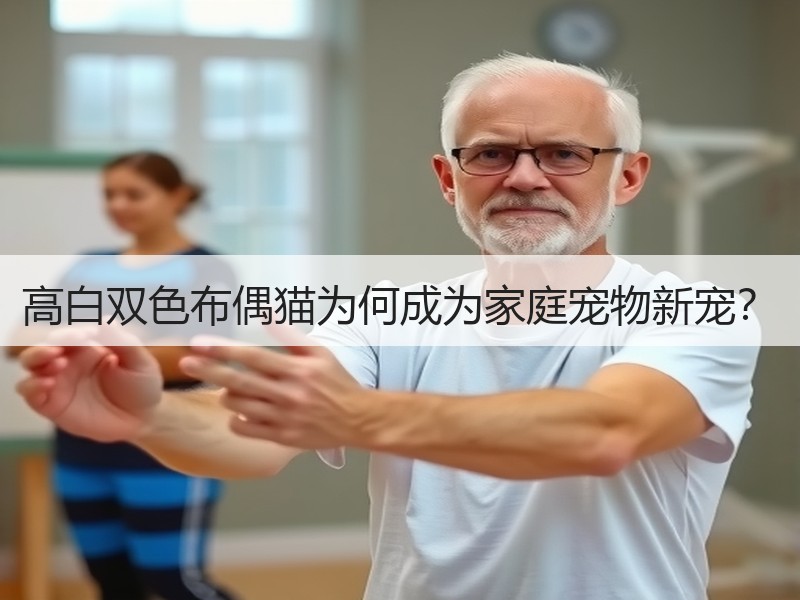 高白双色布偶猫为何成为家庭宠物新宠？