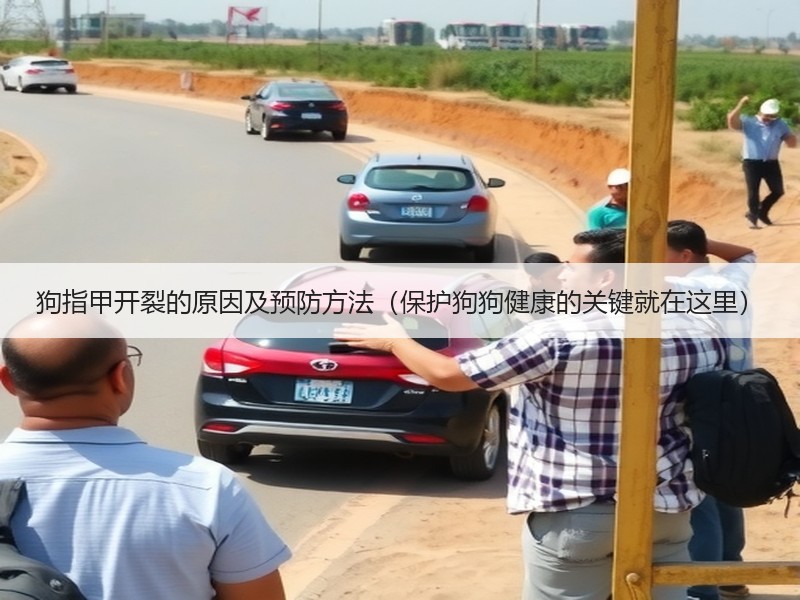 狗指甲开裂的原因及预防方法（保护狗狗健康的关键就在这里）